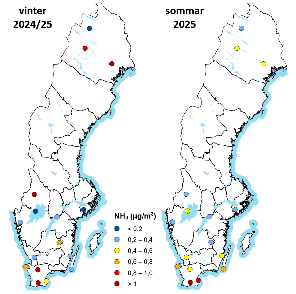 Karta över Sverige som visar halter av ammoniak (NH₃) i luft under sommaren och vinter 2025