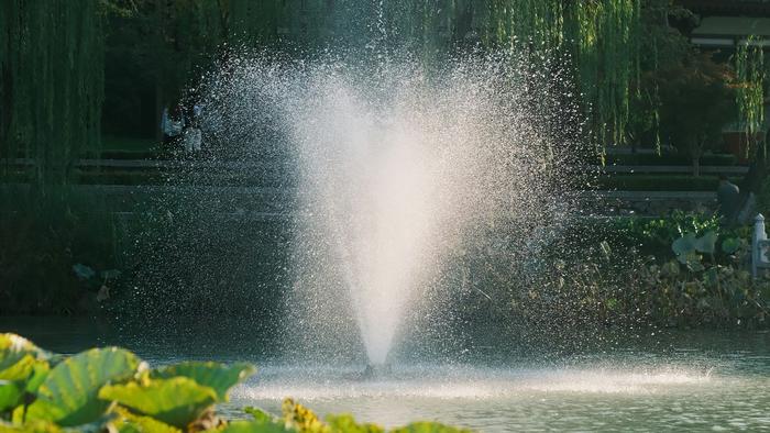 En fontän som sprutar vatten uppåt i en park.