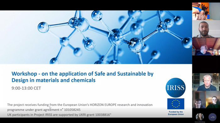 Screenshot from IRISS digital workshop